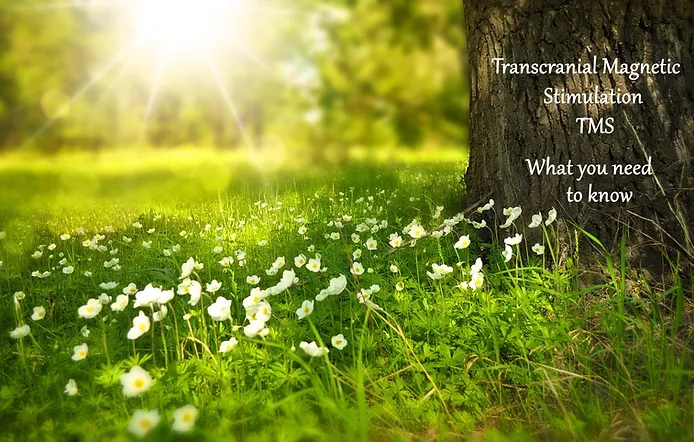 Sunny meadow with white flowers, symbolizing the potential for new beginnings and healing through TMS therapy.